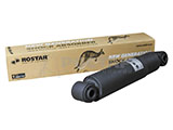 Амортизатор подвески ROSTAR 180-2905004-180