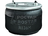 Рессора пневматическая (стальной стакан) ROSTAR R836DFS05